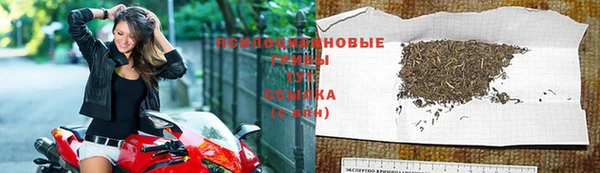 МДПВ Кукмор