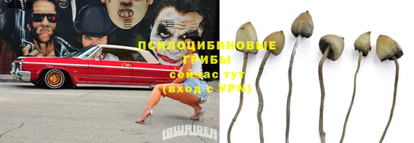 молекула духа Куйбышев