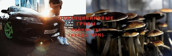 МДПВ Кукмор