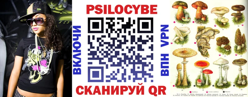 Галлюциногенные грибы MAGIC MUSHROOMS  Купить закладки  Давлеканово 